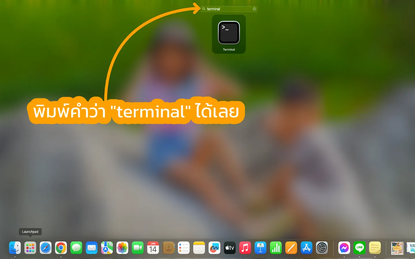 OpenTerminalLaunchpad