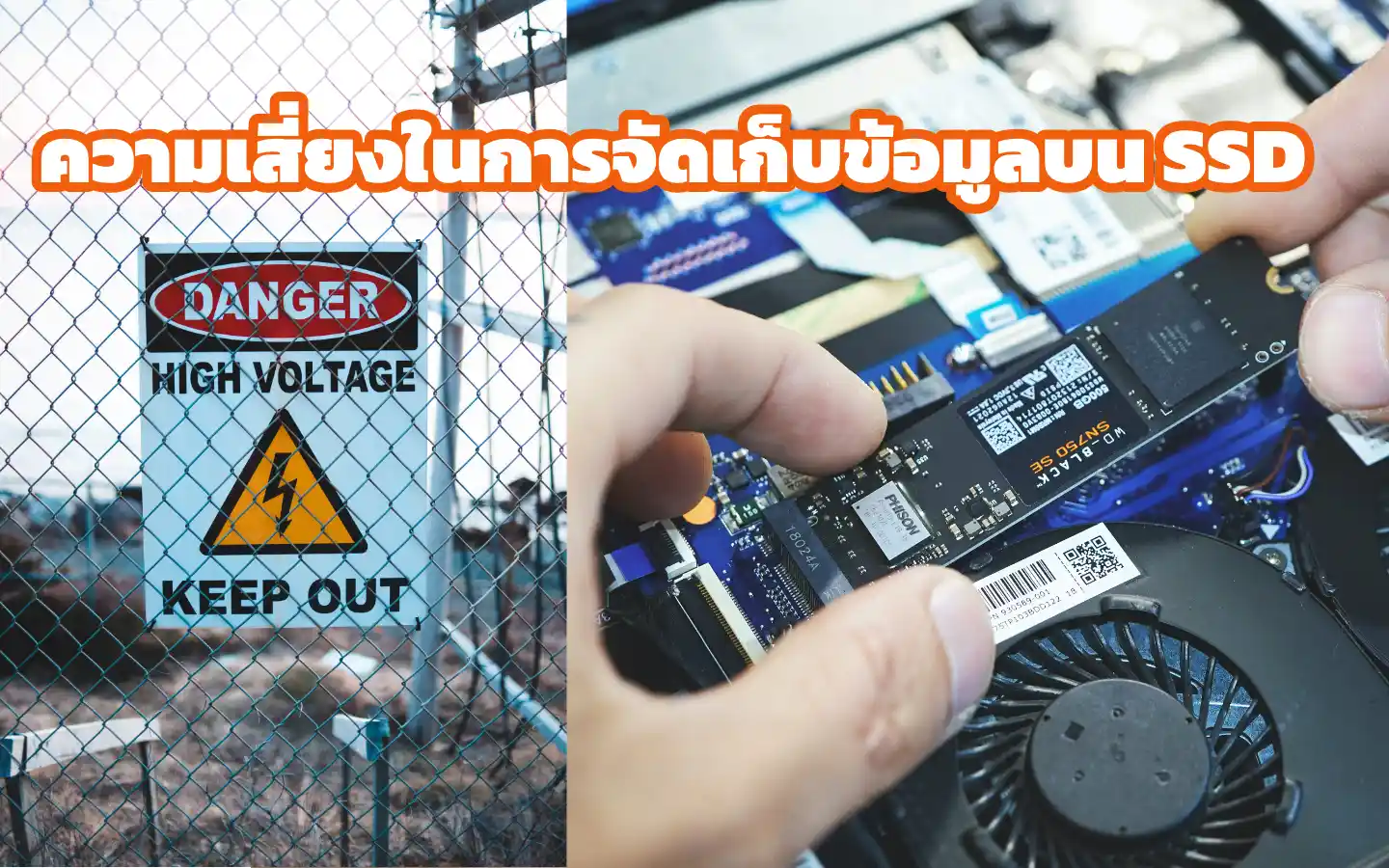 Risk data of ssd